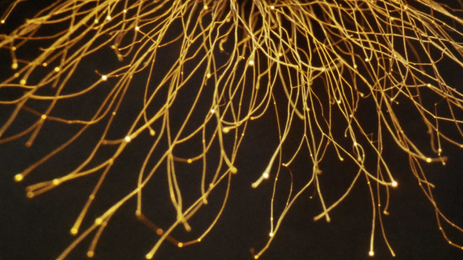 Fine glowing golden filaments branching like neurons across a black void